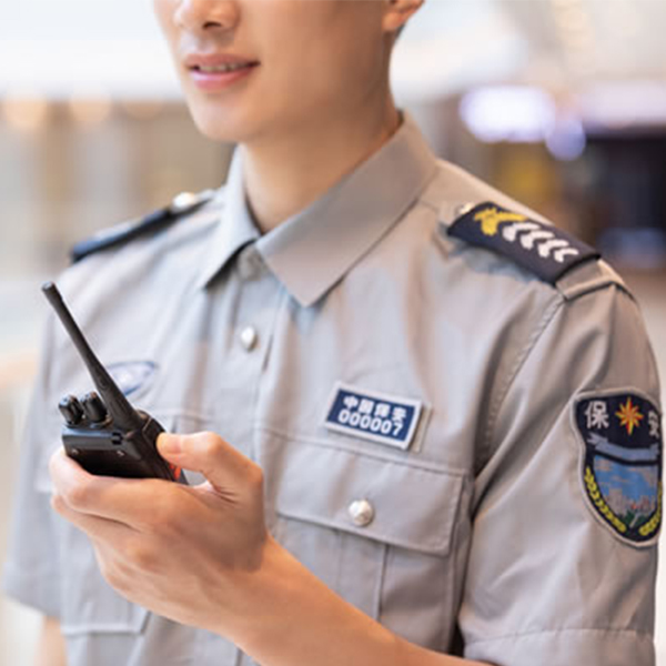 安全顾问